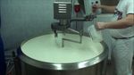 Guide to Cheese Making Machines: Processing Technology and Industry Overview